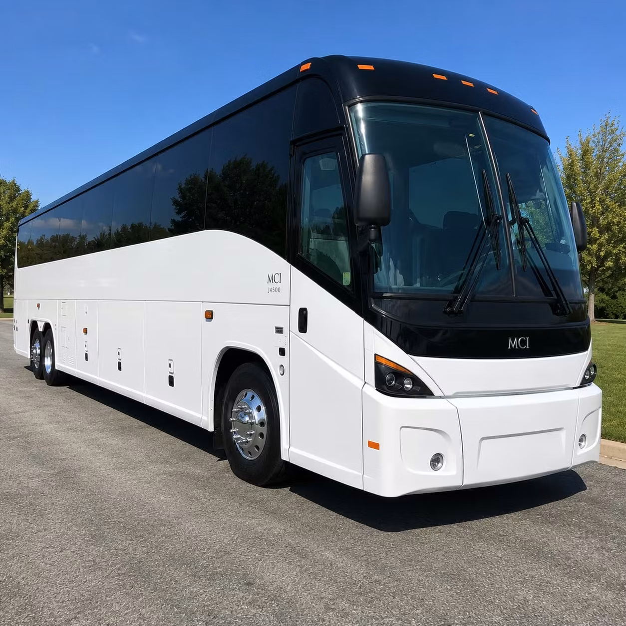 ocala s horse country draws groups year round airport shuttles keep the itinerary moving